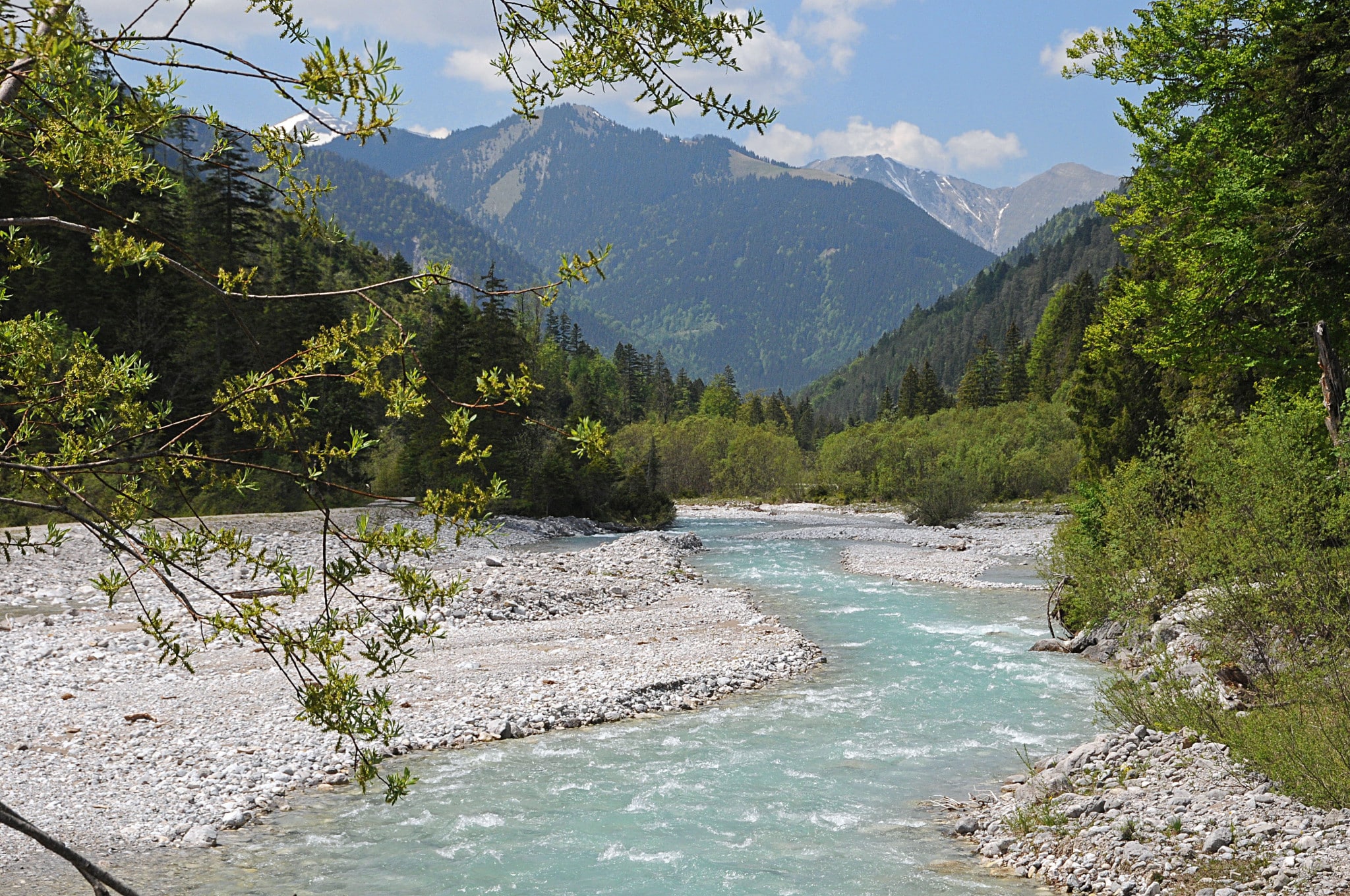 Der Rissbach auf seinem Weg in die Vorderriss (Foto: H.K.)